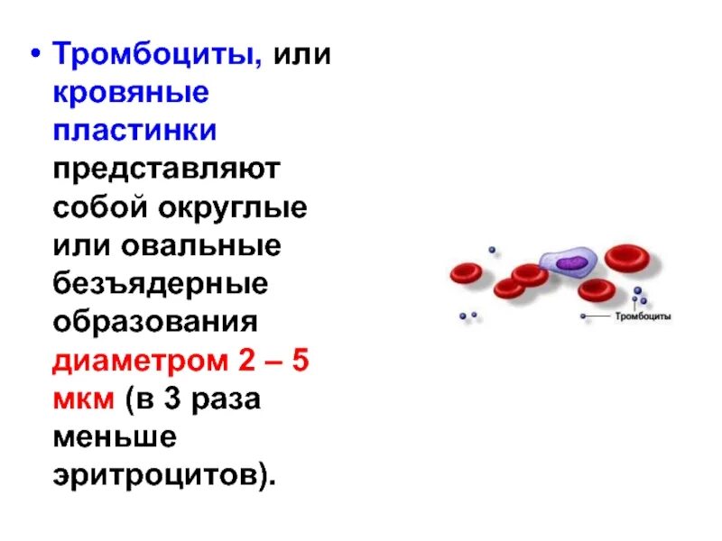 Эритроциты у мужчин. Тромбоциты. Тромбоциты или кровяные пластинки. Красные кровяные пластинки тромбоциты это элементы крови. Тромбоциты представляют собой.