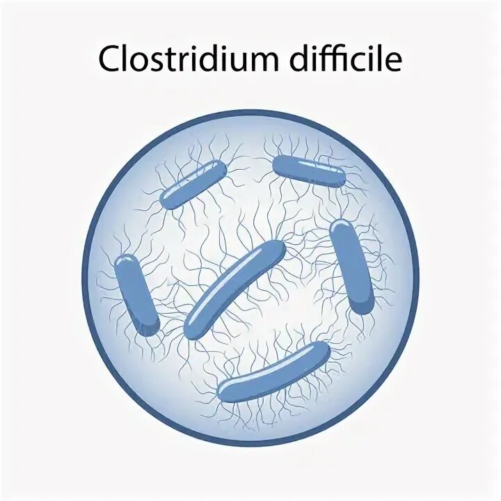 Clostridium difficile микробиология. Clostridium difficile что это