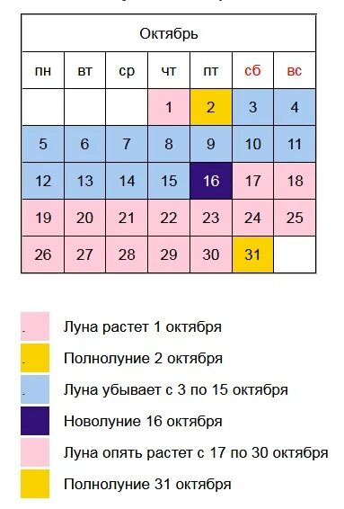 Календарь стрижек зурхай на октябрь 2024 Картинки ОРАКУЛ СТРИЖКА ОКТЯБРЯ 2023