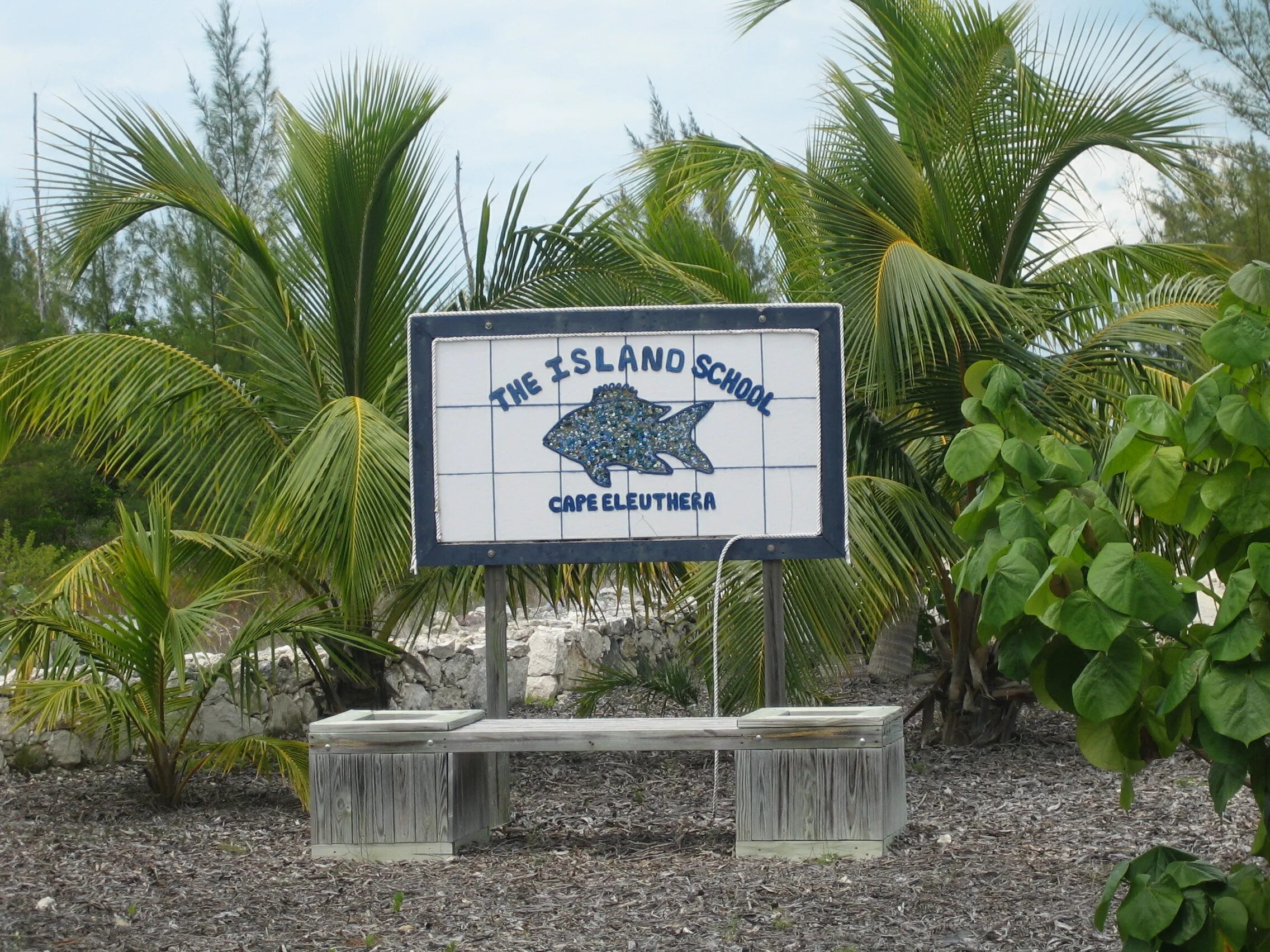 "The Island School" на Багамских островах. Школы на Багамах. Остров школа. Элеутера остров на Багамах. Island school