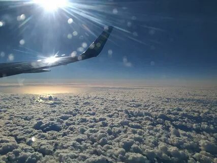 Обзор flight