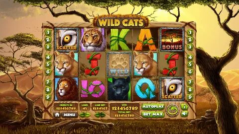 Игра дикие коты