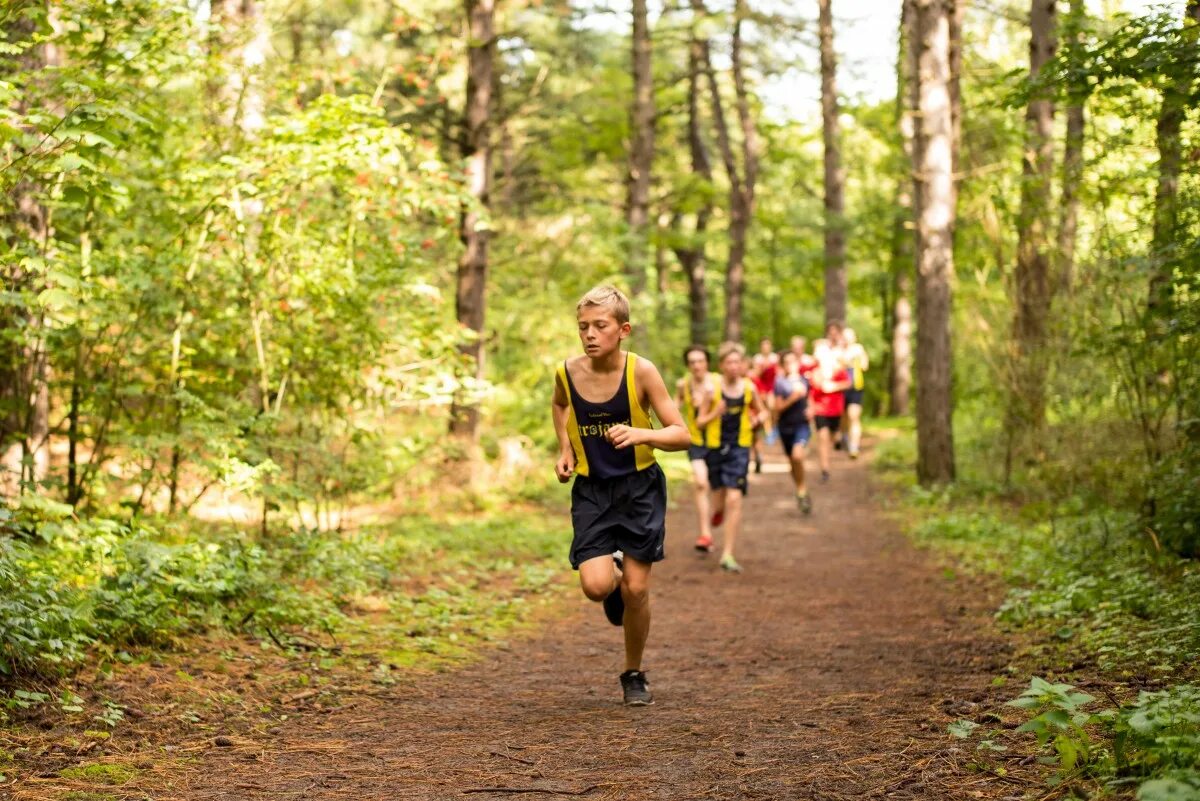Бег на пересеченной местности. Кросс бег по пересеченной местности. Спортивный бег по пересеченной местности. Тренировка в лесу. Running offline