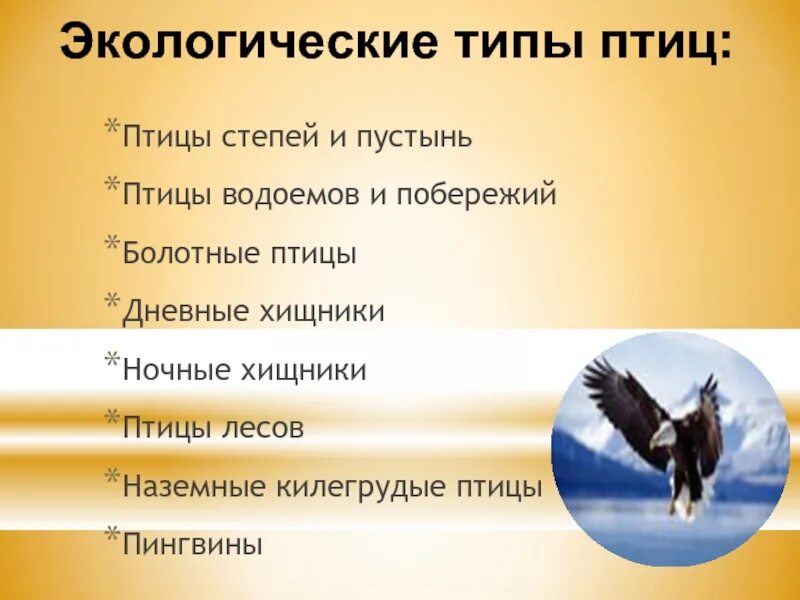 Экологические группы птиц. Экологические виды птиц. Экологические группы птиц Хищные птицы. Экологические группы птиц вывод.