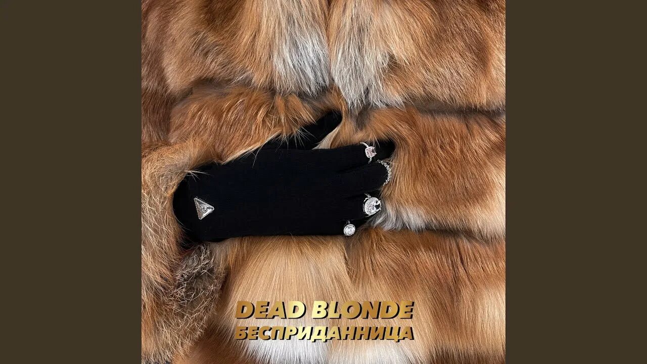 Dead blonde альбомы. Dead blonde Давидом Деймуром. Бесприданница деад блонд. Dead blond песня Бесприданница Dead blond. Карманы на шубе.