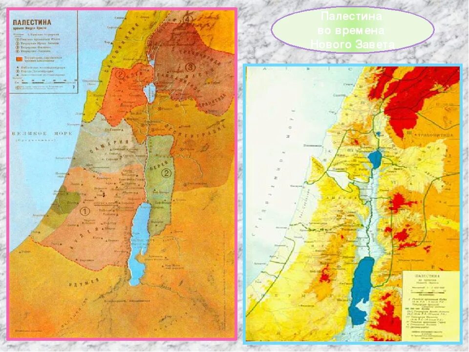 Карта Палестины времен Иисуса Христа. Палестина во времена Иисуса Христа. Карта Палестины нового Завета. Покажи карту палестины