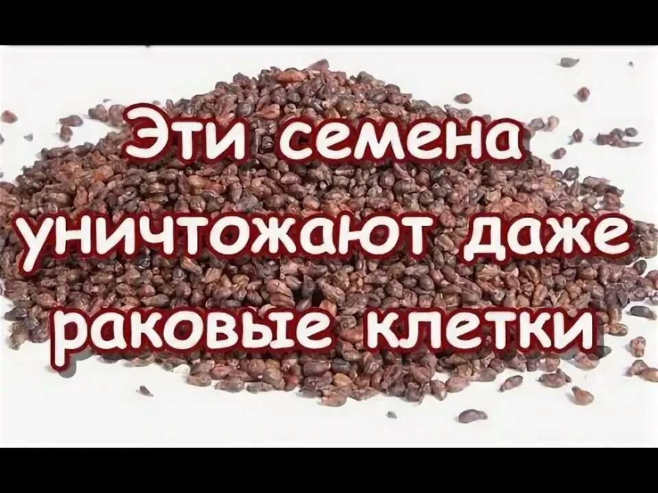 Остров душ л2. (kokracon elite kaiona). Счётчик опыта и лвл. Семя разрушения л2. Животные в жизни растений.