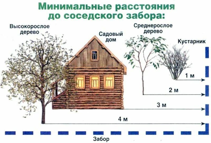Сколько метров от забора косить траву. Нормы посадок от забора соседей. нормативы посадки деревьев и кустарников от забора соседнего участка. расстояния от соседних построек и забора на дачном участке. посадка норма от соседей деревьев на участке нормы забора.
