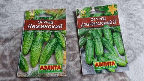 Какие огурцы урожайные сорта