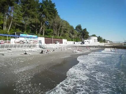 Пляж альбатрос отзывы