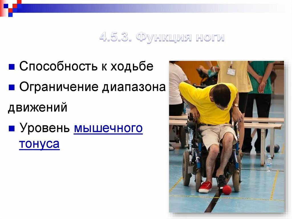 Supra stv-lc32500wl. Икроножные dhz calf 945. Способность ног. Ноги в тренажерном зале. Спортивные мужские ноги.