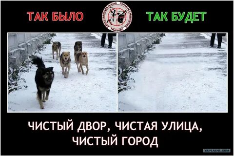 Ненавижу собак
