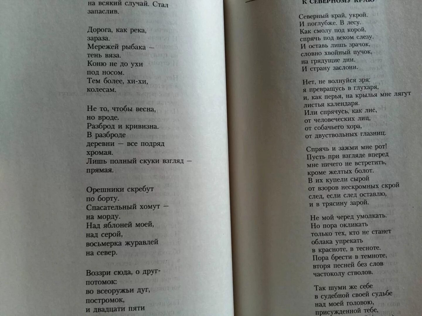 Бродский пилигримы анализ. Иосиф Бродский Пилигримы. Стихотворение Пилигримы Бродский. Пилигрим Бродский стих. Иосиф Бродский Пилигримы текст стихотворения.