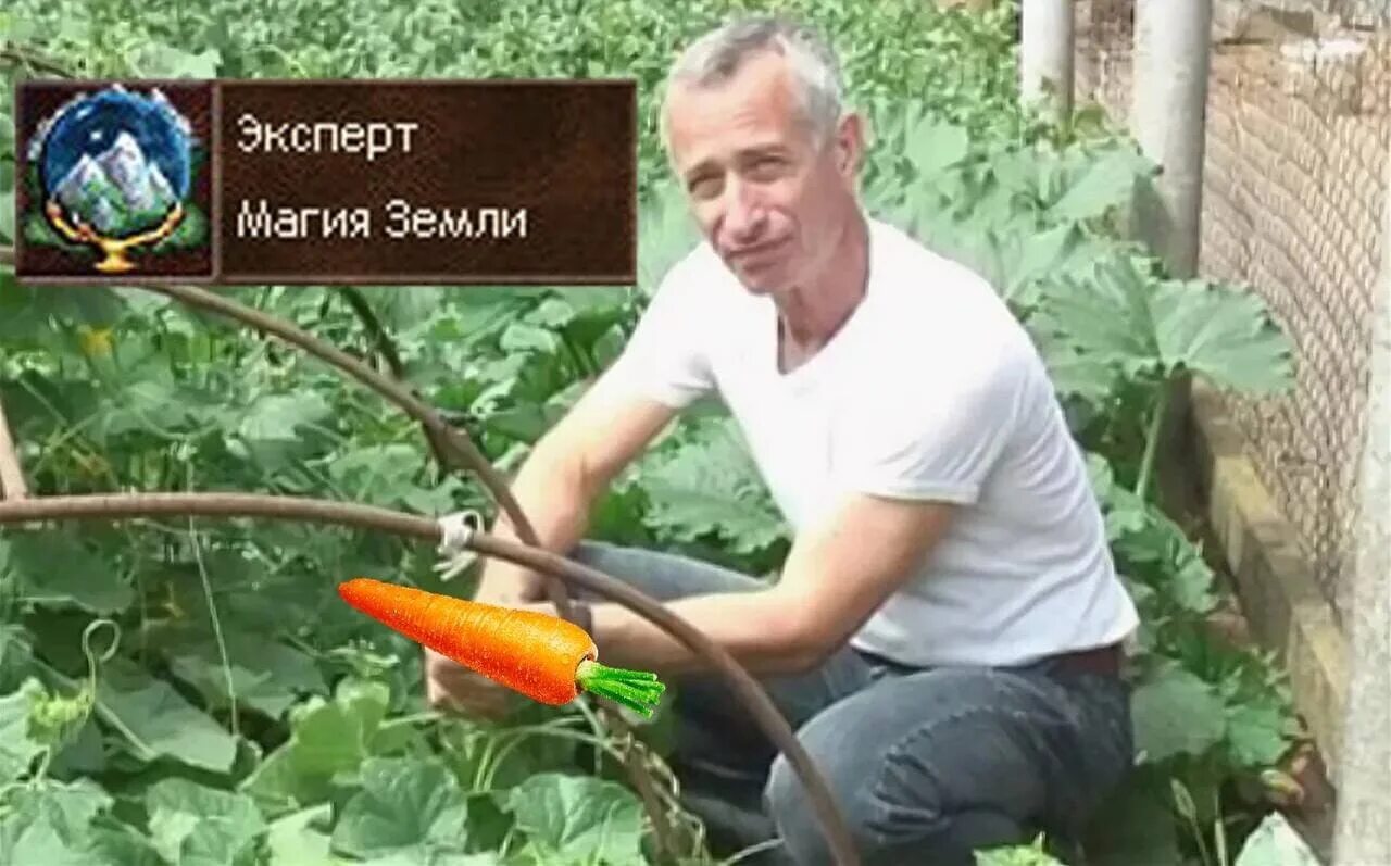 Не отрывая от ботвы. Доктор попов огурец. Доктор попов огурец. Не отрывая от ботвы огурец. Доктор попов огурец +100500.