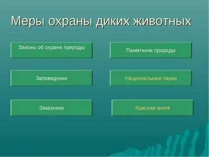 Какие меры принимают для охраны