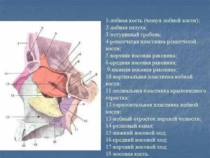 Стенки ямок
