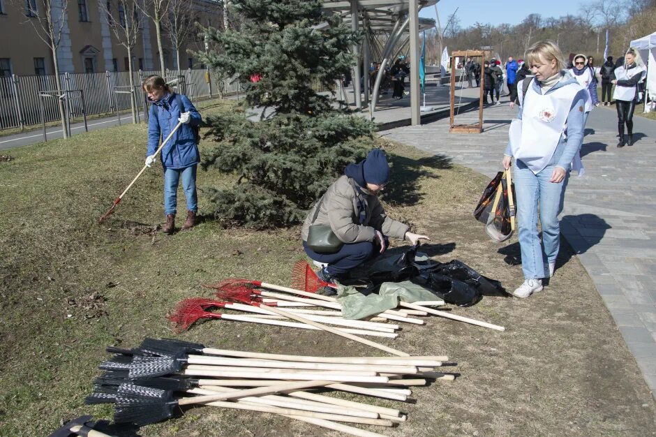 эмблема гжи. рожь родина. рожь поспела. петроградское ржа. логотип петроградского района.