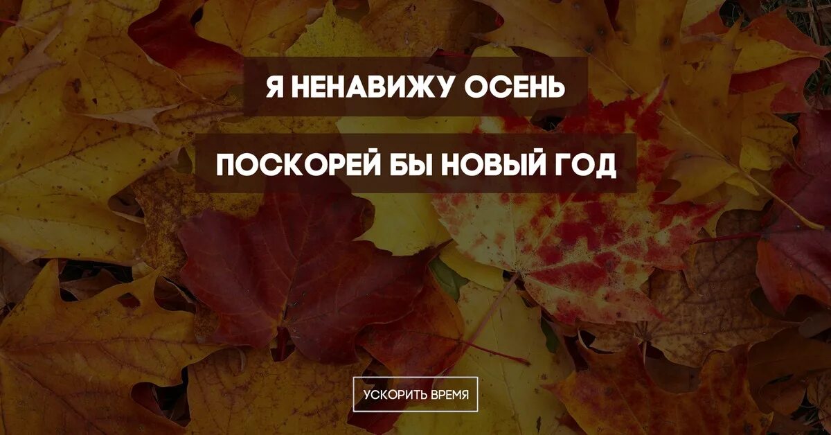 Ненавижу сентябрь. Ненавижу осень. осень болезни. ненавижу осень и зиму. стих ненавижу осень.