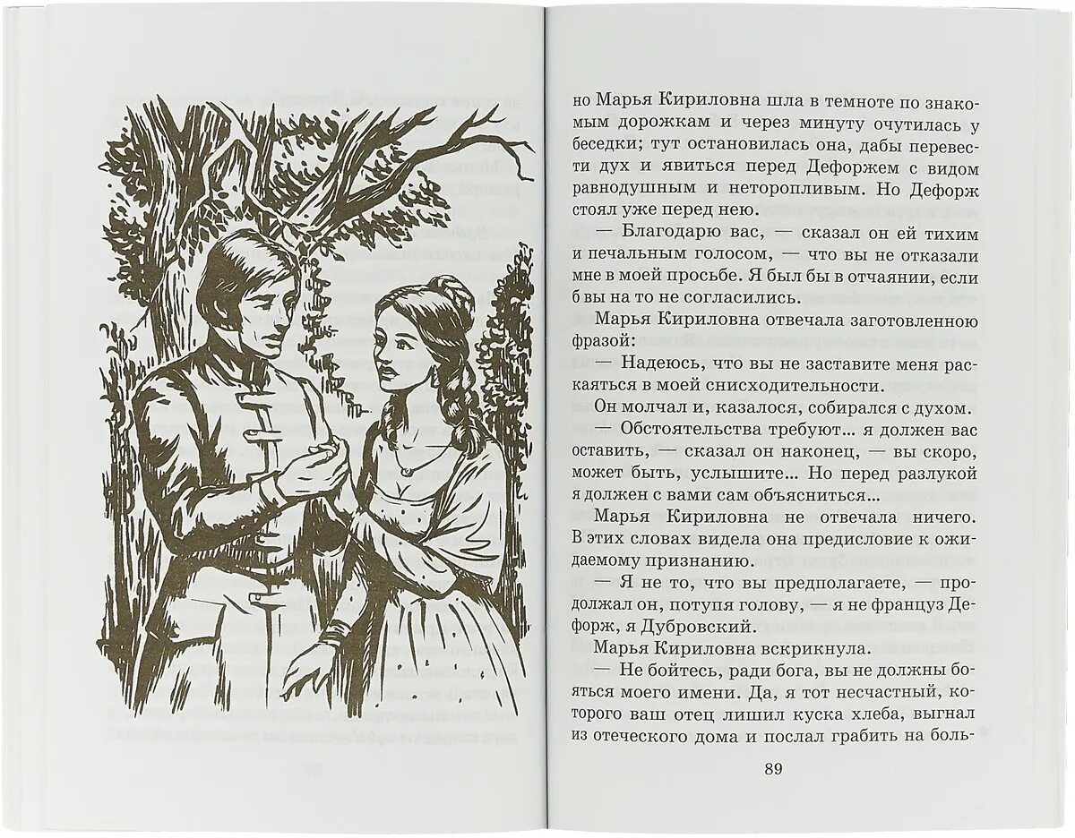 Дубровский 15 глава содержание. Произведение Пушкина Дубровский.