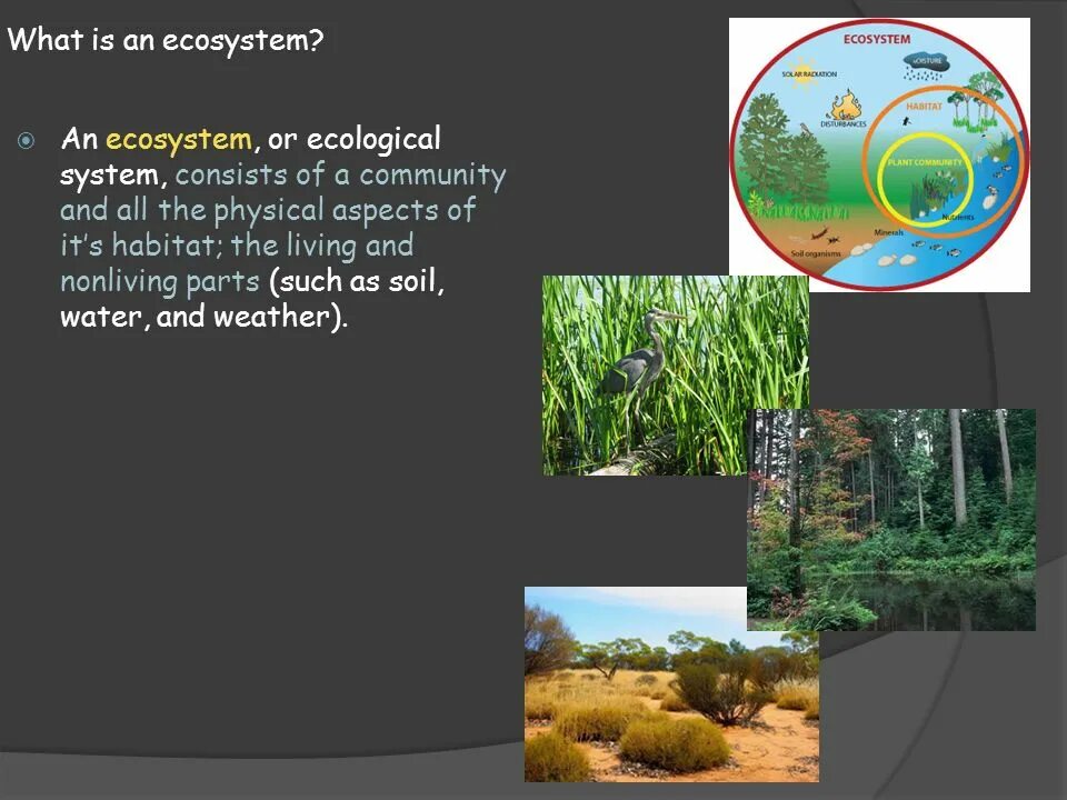 What is the ecosystem. What is an ecosystem. ecological system. ecosystem presentation. what is ecology.
