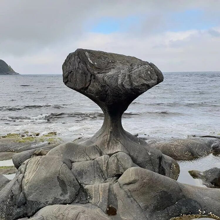 Камень Kannesteinen Норвегия. Вода камень точит. Камни в воде. Камень сточенный водой. Почему вода камень точит