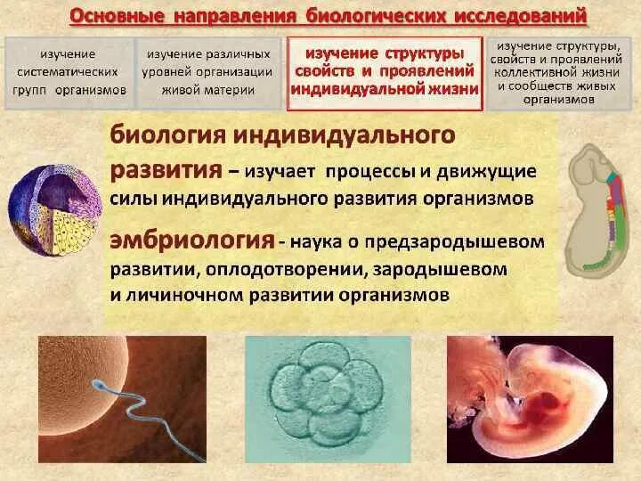 Целью проводится описание в ходе биологических исследований. Основные направления биологических исследований. перспективные направления биологических исследований. направление на биологическое исследование. основный направления биологии.