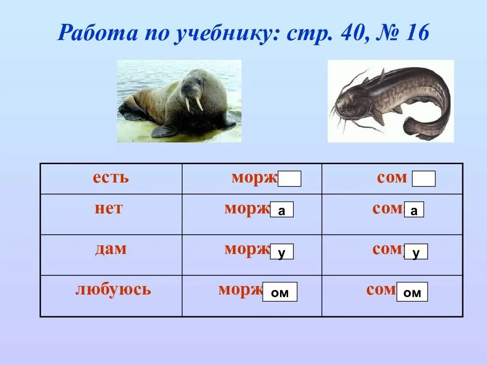 Работа окончаний слов. Разбор слова тюлень. Тюлень разбор слова 1 класс. Схема слова тюлень. Тюлень основа слова.