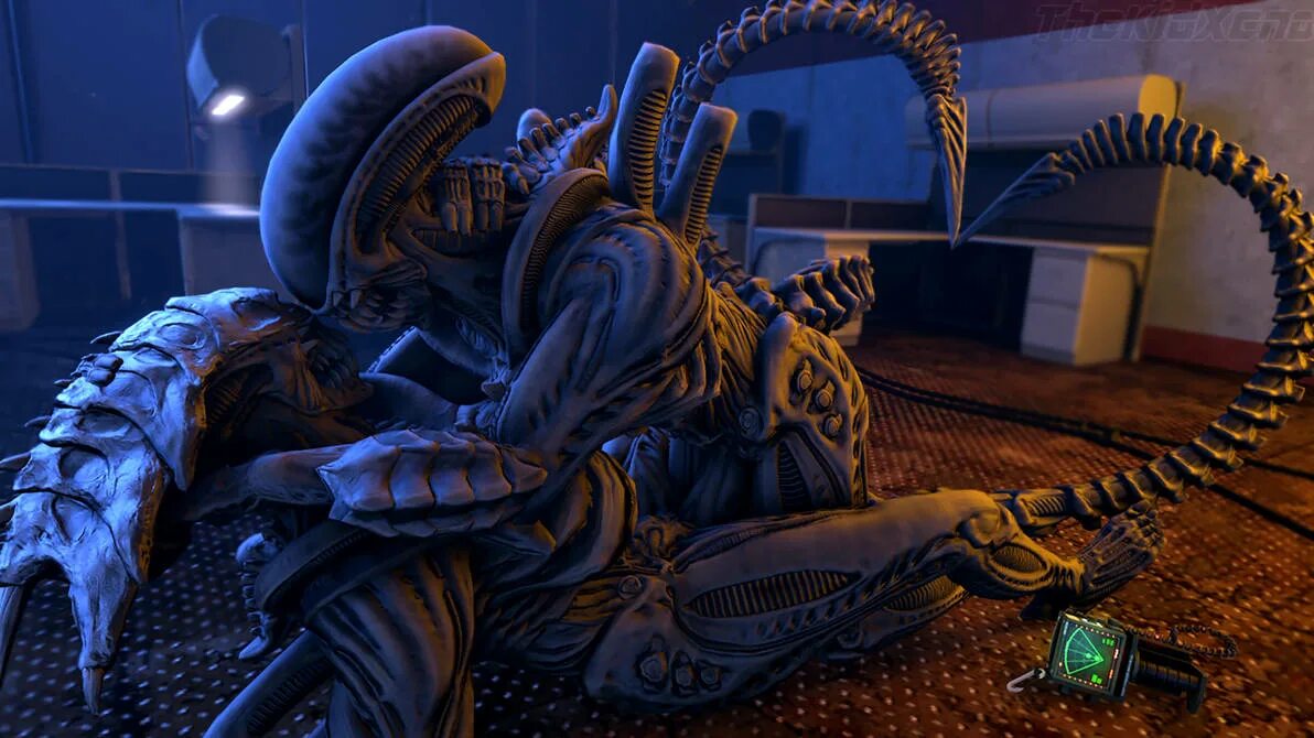 Rule 34 alien. THEKIDXENO Xenomoph. THEKIDXENO Xenomorph. Ксеноморф самка Королева r 34. Преторианец чужой.