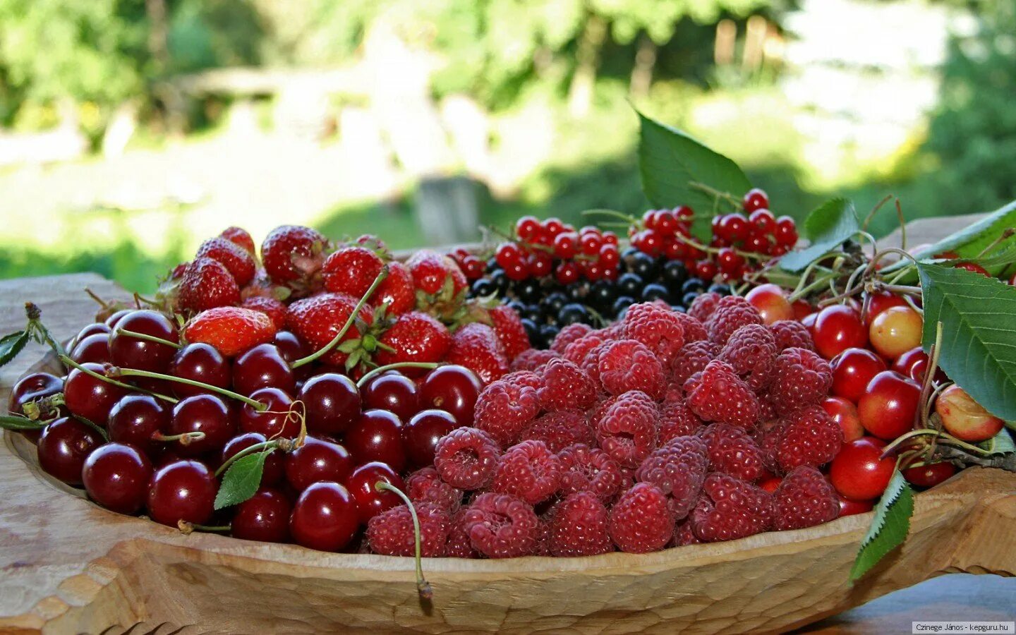 Клубника, малина, вишня, крыжовник (ягоды). Красивые ягоды. Лето фрукты ягоды. Природа ягоды. С начала ягодки