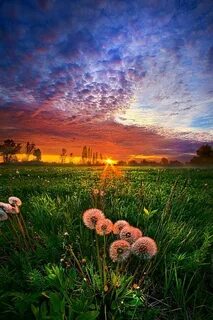 Приятная природа