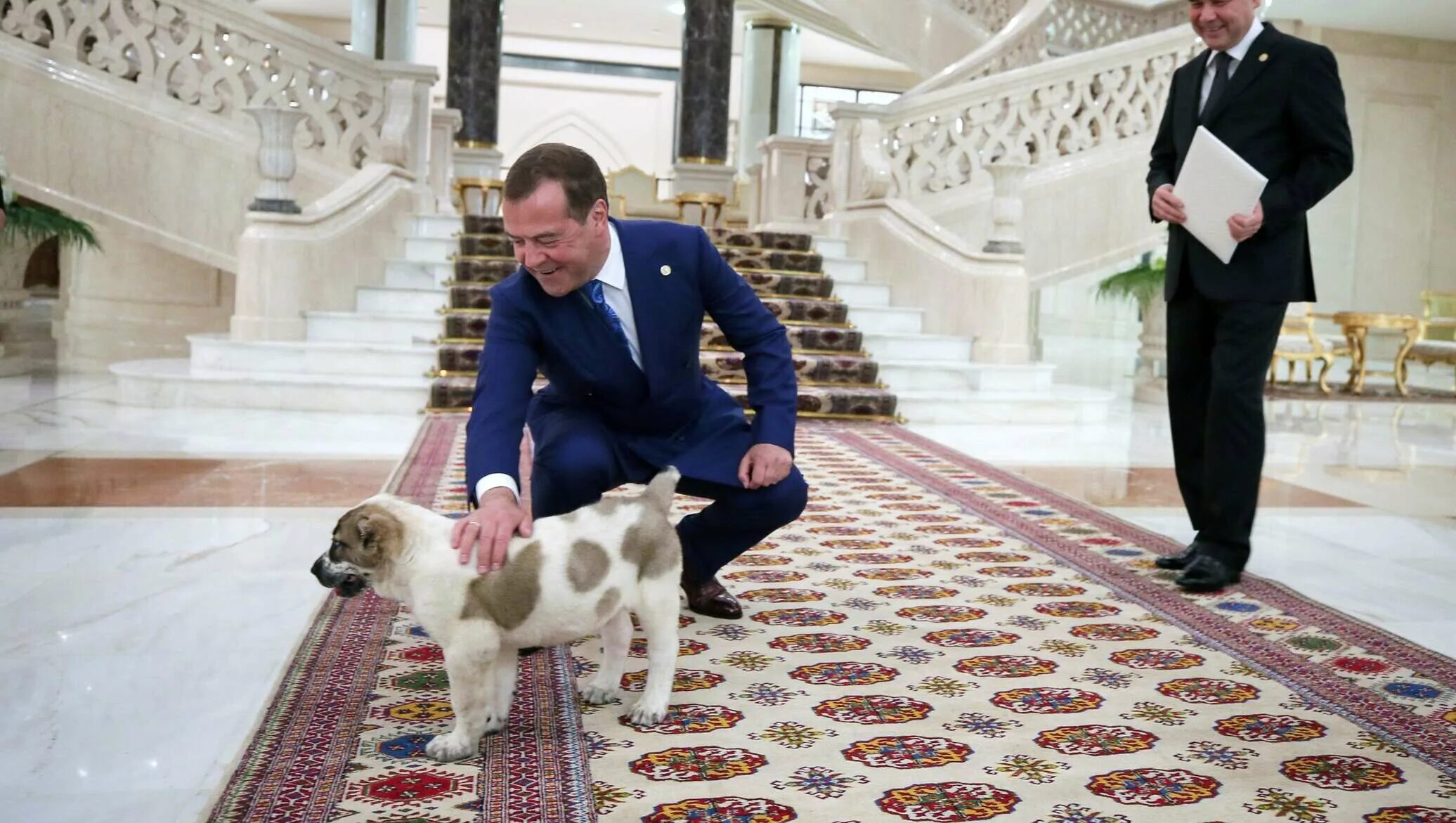 Какого щенка подарили