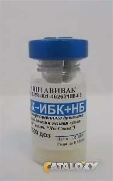 Ибк отзывы