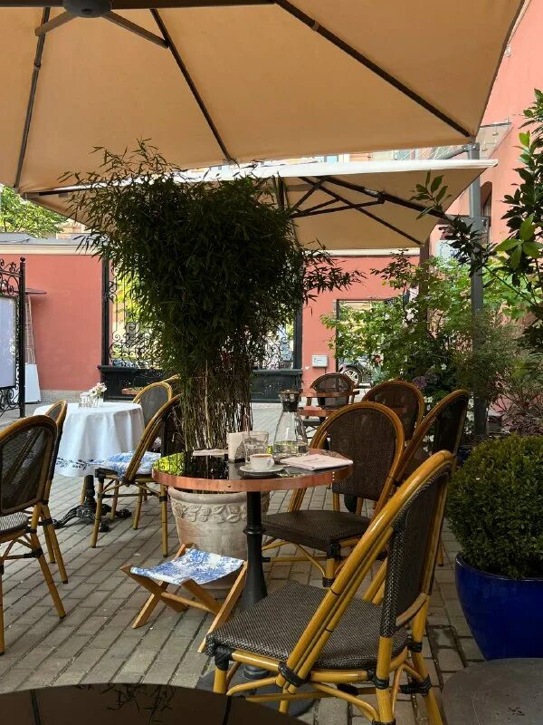 Joli спб ресторан. Ресторан joli восстания 45. Joli спб ресторан. Проект ресторана. Rimski ресторан.