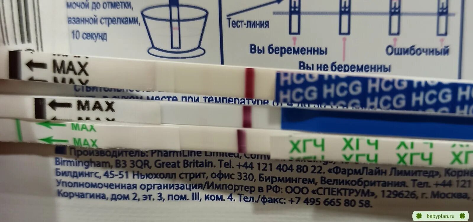 Может ли тест быть ошибочно положительным. Бишур тест на беременность. бишур тесты на 23 день цикла. хгч тест бишур и фрау что лучше. как показывает тест frau при беременности.