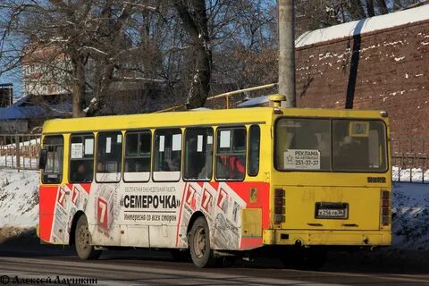251 автобус спб