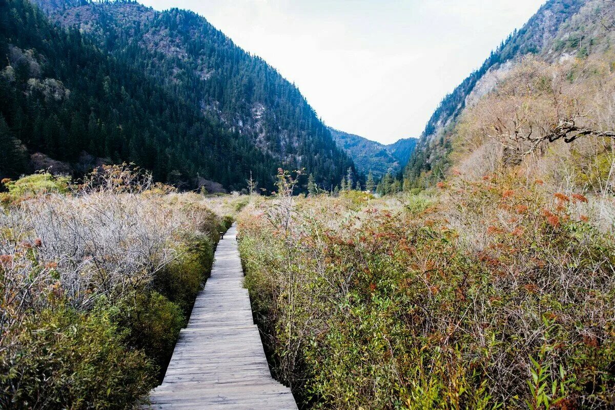 Долина девяти озер арадан перевал проходной. Долина 9 озер ергаки. Долина 9. Озеро пяти цветков в цзючжайгоу. Араданский хребет ергаки.