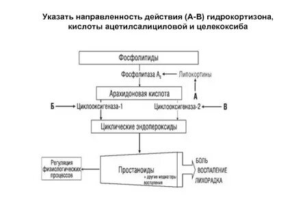 Направленность действия