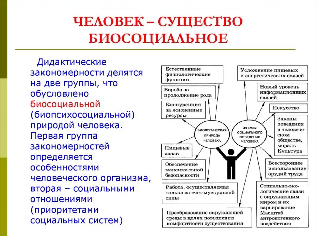 Что означает биосоциальное существо. Человек биосоциальное существо схема. Человек биосоциальное существо Обществознание. Человк био социальное СУЩЕСТВОФ. Человек био Сециальное сушество.