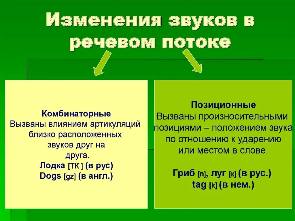 Почему звуки изменяются. Позиционные изменения звуков. Комбинаторные изменения звуков. Комбинаторные и позиционные изменения звуков. Позиционные изменения звуков в речевом потоке.