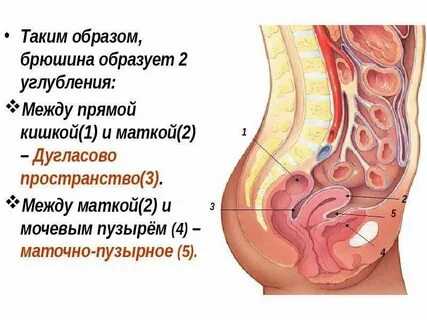 Рак прямой кишки и мочевого пузыря