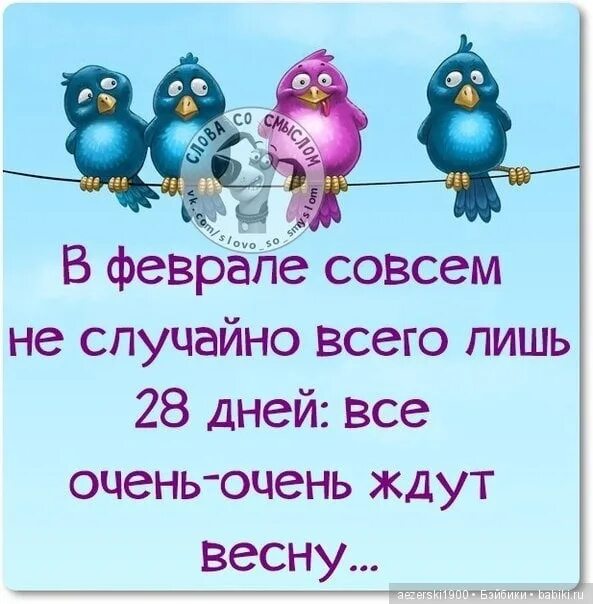 Первая неделя февраля. Высказывания про весну прикольные. Фразы про весну прикольные. Позитивные статусы про весну. Позитивные высказывания.