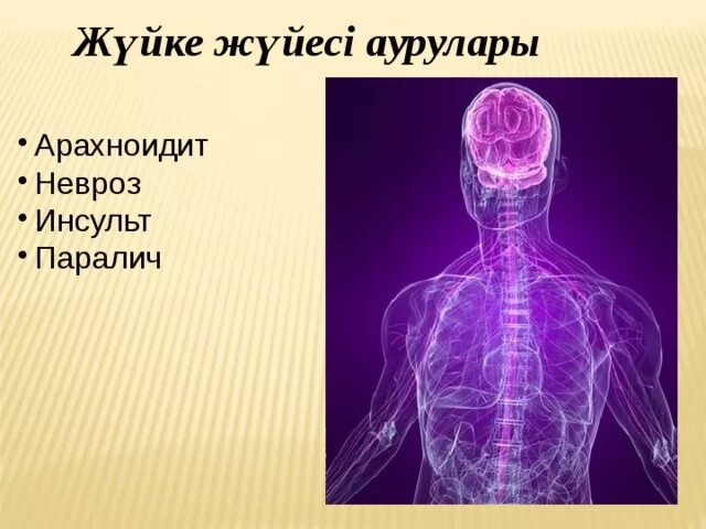 Жуйке. Эндокриндік жүйенің аурулары презентация. Жүйке жүйесі дегеніміз не. Жуйке жуйесiнiн қурылысы..