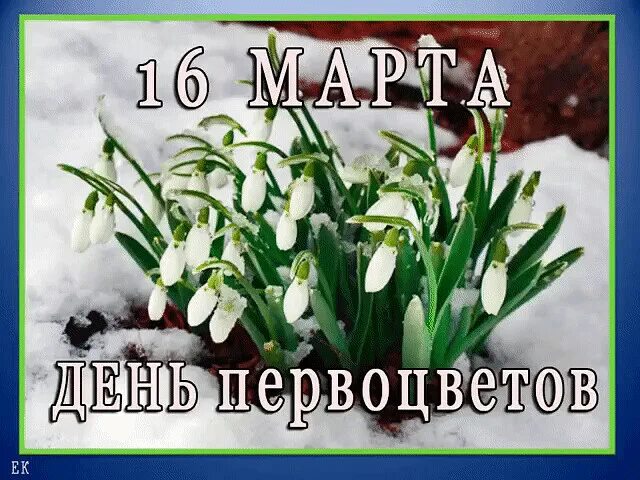 День март ру. День первоцветов. День первоцветов в России.
