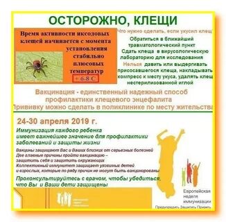 Когда делать прививку от клещевого