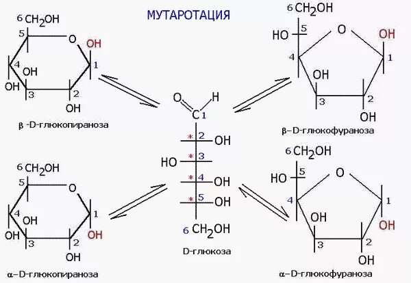 Глюкоза растворение в воде. Альфа и бета д глюкопираноза. Альфа д глюкопираноза + АТФ. Формулы Хеуорса мутаротация. Альфа д глюкопираноза формула.