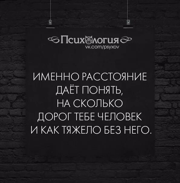 Информацию о том что именно. Именно расстояние даёт понять на сколько дорог тебе человек. Именно расстояние даёт понять на сколько. Именно расстояние даёт понять на сколько дорог. Только расстояние даёт понять на сколько дорог человек.