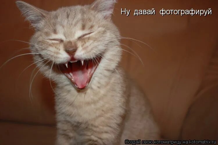 ну сфотографируй. красиво сфоткать руки нескольких человек. ну сфотографируй. не фоткать. волк из ну погоди с фотоаппаратом.