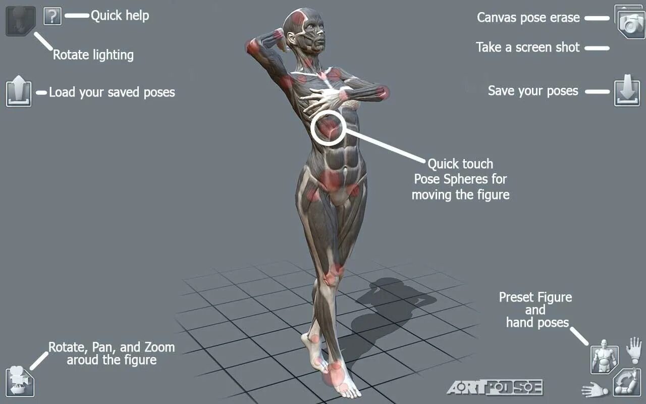 Quick poses. Gesture drawing. Quick poses. Jacket challenge поза. Позы человека для рисования.