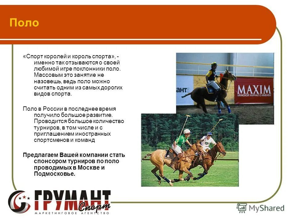 зимние виды спорта с описанием. какой спорт называют спортом королей. какой спорт называют спортом королей. зимние виды спорта презентация. зимние виды спорта.