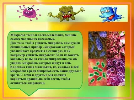 Рассказ про бактерии 3 класс